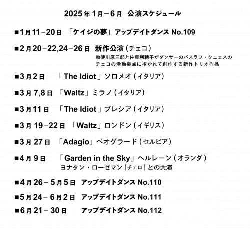 2025スケジュール-01